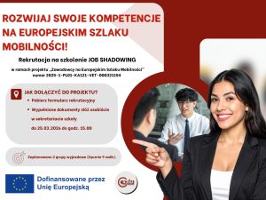 Read more about the article Rekrutacja nauczycieli na job shadowing